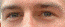 DeathRayScientist's Avatar