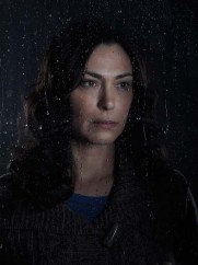 Mitch Larsen Played by Michelle Forbes