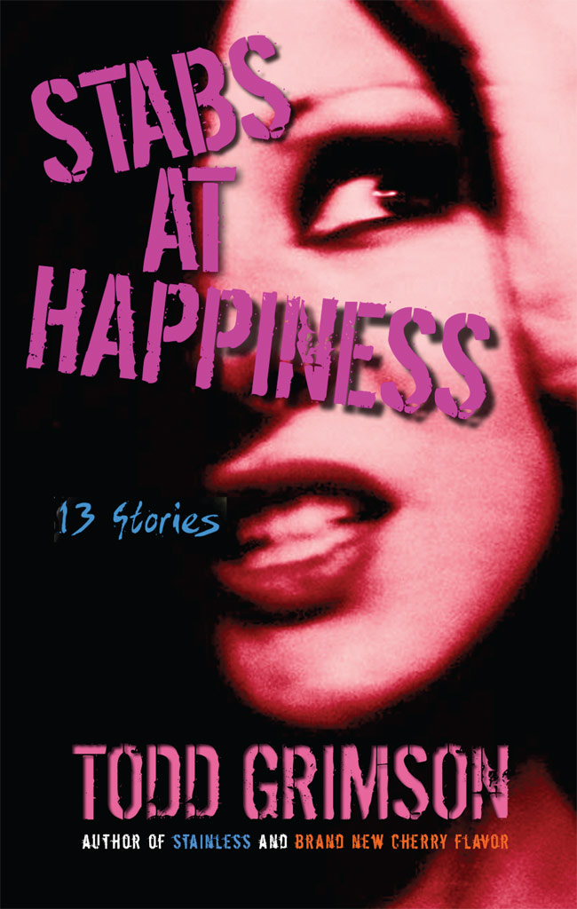 Stabs at Happiness 13 Stories by Todd Grimson