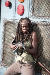 The Walking Dead Michonne