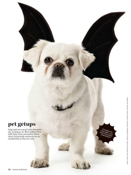 Martha Stewart Dark Living for Halloween | Gothic.net